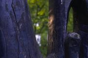 ../galleries/2015.08.02_Botanischer_Garten_mit_Christian/DSC_0771.thumbnail.jpg