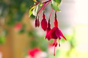 ../galleries/2015.09.24_Spaziergang_experimenteller_Botanischer_Garten/DSC_1480.thumbnail.jpg