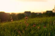 ../galleries/2015.09.24_Spaziergang_experimenteller_Botanischer_Garten/DSC_1492.thumbnail.jpg