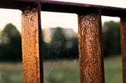../galleries/2015.09.24_Spaziergang_experimenteller_Botanischer_Garten/DSC_1506.thumbnail.jpg