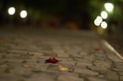 ../galleries/2015.09.26_Campus_bei_Nacht/DSC_1562.thumbnail.jpg