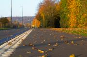 ../galleries/2015.10.27_Spaziergang/DSC_2044.thumbnail.jpg