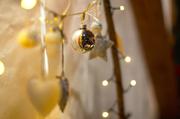 ../galleries/2015.12.05_Iserlohn/DSC_2385.thumbnail.jpg