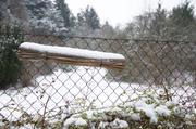 ../galleries/2016.01.04_Forstbotanischer_Garten/DSC_3977.thumbnail.jpg