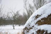 ../galleries/2016.01.04_Forstbotanischer_Garten/DSC_4025.thumbnail.jpg