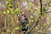 ../galleries/2016.03.19_Geocaching/DSC_4368.thumbnail.jpg