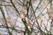 ../galleries/2016.04.06_Fruehling/DSC_4535.thumbnail.jpg