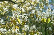 ../galleries/2016.04.22_Aprilwetter/DSC_4740.thumbnail.jpg