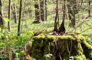../galleries/2016.04.22_Aprilwetter/DSC_4764.thumbnail.jpg