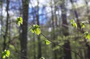 ../galleries/2016.04.22_Aprilwetter/DSC_4765.thumbnail.jpg