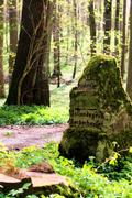 ../galleries/2016.04.22_Aprilwetter/DSC_4791.thumbnail.jpg