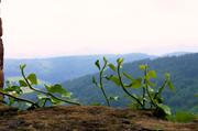 ../galleries/2016.06.25_Burg_Hanstein/DSC_5765.thumbnail.jpg