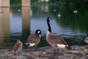../galleries/2016.07.08_Iserlohn/DSC_5950.thumbnail.jpg