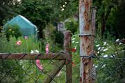 ../galleries/2016.07.09_Gartenparty/DSC_6004.thumbnail.jpg
