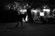 ../galleries/2016.07.09_Gartenparty/DSC_6069.thumbnail.jpg