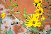 ../galleries/2016.08.13_Droyßig/DSC_6728.thumbnail.jpg
