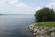 ../galleries/2016.08.15_Rheinradweg/IMG_20160817_132315.thumbnail.jpg