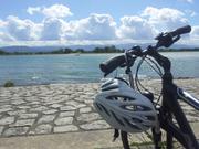 ../galleries/2016.08.15_Rheinradweg/IMG_20160821_115741.thumbnail.jpg
