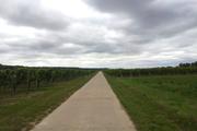 ../galleries/2016.08.15_Rheinradweg/IMG_20160822_141456.thumbnail.jpg