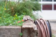 ../galleries/2016.09.26_Im_Gewachshaus/DSC_7893.thumbnail.jpg