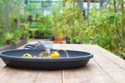 ../galleries/2016.09.26_Im_Gewachshaus/DSC_7898.thumbnail.jpg