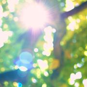 ../galleries/2016.10.16_Klosterpark_im_Herbstsommer/DSC_8213.thumbnail.jpg