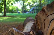 ../galleries/2016.10.16_Klosterpark_im_Herbstsommer/DSC_8238.thumbnail.jpg