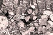 ../galleries/2016.11.03_Mehr_Herbst/DSC_8711.thumbnail.jpg
