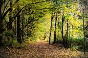 ../galleries/2016.11.03_Mehr_Herbst/DSC_8778.thumbnail.jpg