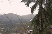 ../galleries/2016.11.13_Saechsische_Schweiz/DSC_9045.thumbnail.jpg