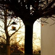 ../galleries/2016.11.29_Wohnheim/DSC_9529.thumbnail.jpg