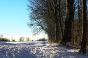 ../galleries/2017.01.19_Spaziergang_Roringen/DSC_0129.thumbnail.jpg