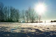 ../galleries/2017.01.19_Spaziergang_Roringen/DSC_0150.thumbnail.jpg