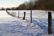 ../galleries/2017.01.19_Spaziergang_Roringen/DSC_0210.thumbnail.jpg