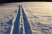 ../galleries/2017.01.19_Spaziergang_Roringen/DSC_0242.thumbnail.jpg