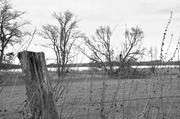 ../galleries/2017.02.04_Spaziergang_Seeburger_See/DSC_0368.thumbnail.jpg