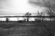 ../galleries/2017.02.04_Spaziergang_Seeburger_See/DSC_0372.thumbnail.jpg