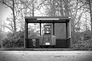 ../galleries/2017.02.24_NABK_Loy/DSC_0437.thumbnail.jpg