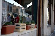 ../galleries/2017.04.08_Venedig_5/DSC_2286.thumbnail.jpg