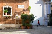 ../galleries/2017.04.09_Venedig_6/DSC_2491.thumbnail.jpg