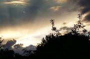 ../galleries/2017.05.13_Sonnenuntergang/DSC_2881.thumbnail.jpg