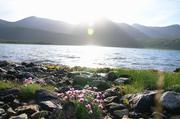 ../galleries/2017.06.09_Schottland_Tag_2/DSC_3168.thumbnail.jpg