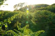 ../galleries/2017.06.10_Schottland_Tag_3/DSC_3295.thumbnail.jpg