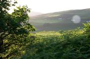../galleries/2017.06.10_Schottland_Tag_3/DSC_3306.thumbnail.jpg