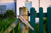 ../galleries/2017.06.10_Schottland_Tag_3/DSC_3316.thumbnail.jpg