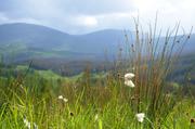 ../galleries/2017.06.12_Schottland_Tag_5/DSC_3521.thumbnail.jpg