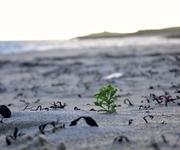 ../galleries/2017.06.15_Schottland_Tag_8/DSC_3892.thumbnail.jpg
