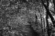 ../galleries/2017.07.20_Abendspaziergang_in_Weende/DSC_4286.thumbnail.jpg