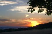 ../galleries/2017.07.20_Abendspaziergang_in_Weende/DSC_4296.thumbnail.jpg