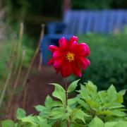 ../galleries/2017.09.09_Baerenpark_Worbis/DSC_4664.thumbnail.jpg